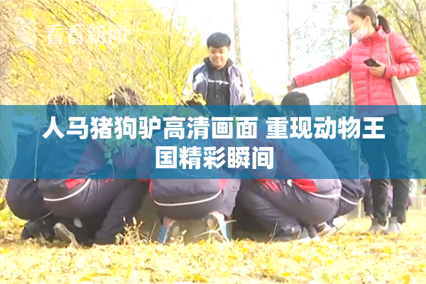 人马猪狗驴高清画面 重现动物王国精彩瞬间