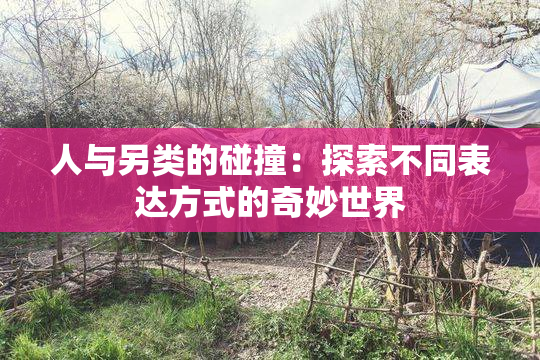人与另类的碰撞：探索不同表达方式的奇妙世界