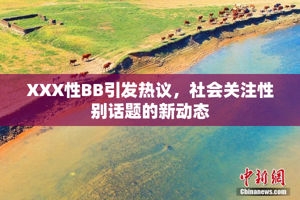 XXX性BB引发热议，社会关注性别话题的新动态