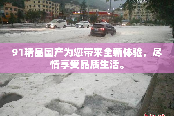 91精品国产为您带来全新体验，尽情享受品质生活。