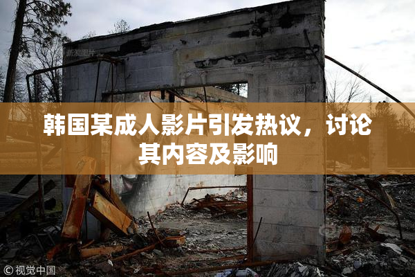 韩国某成人影片引发热议，讨论其内容及影响