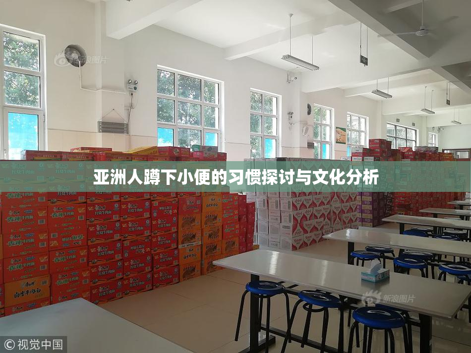 亚洲人蹲下小便的习惯探讨与文化分析