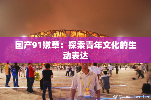 国产91嫩草：探索青年文化的生动表达