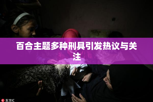 百合主题多种刑具引发热议与关注