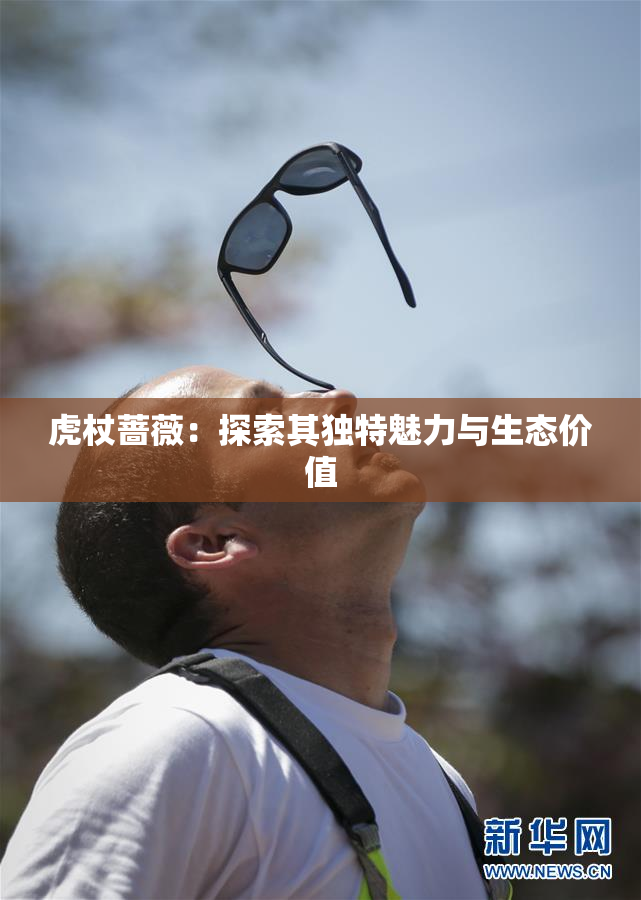 虎杖蔷薇：探索其独特魅力与生态价值