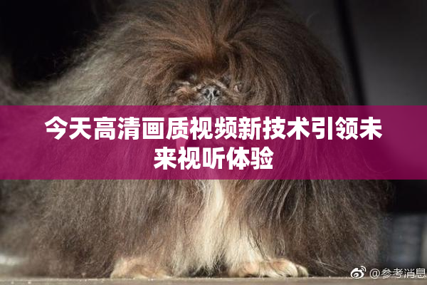 今天高清画质视频新技术引领未来视听体验