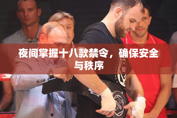 夜间掌握十八款禁令，确保安全与秩序