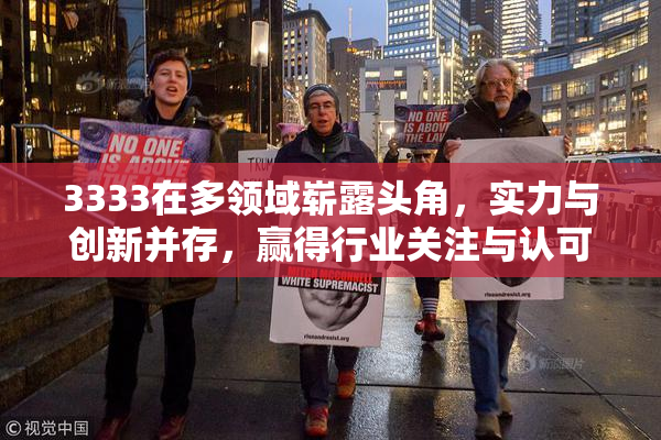3333在多领域崭露头角，实力与创新并存，赢得行业关注与认可