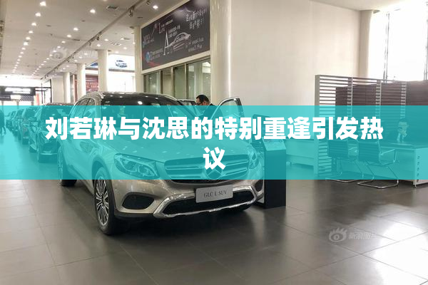 刘若琳与沈思的特别重逢引发热议