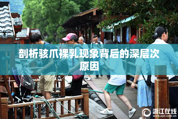 剖析骇爪裸乳现象背后的深层次原因