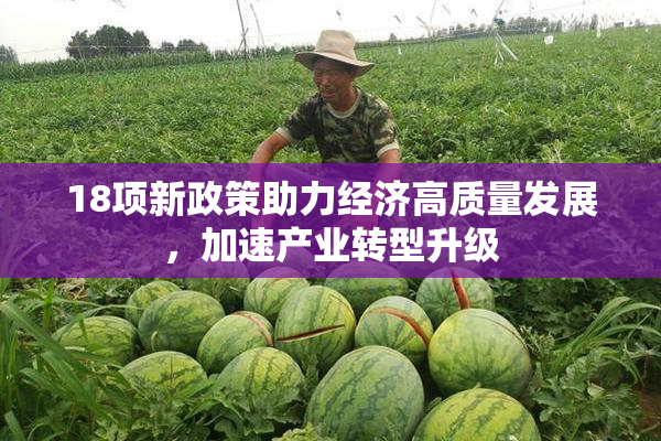 18项新政策助力经济高质量发展，加速产业转型升级