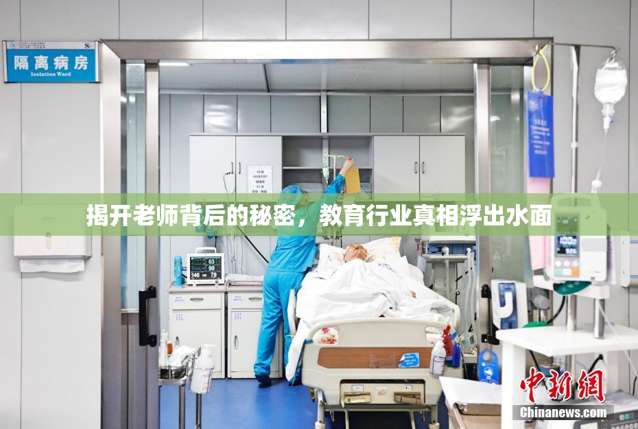 揭开老师背后的秘密，教育行业真相浮出水面
