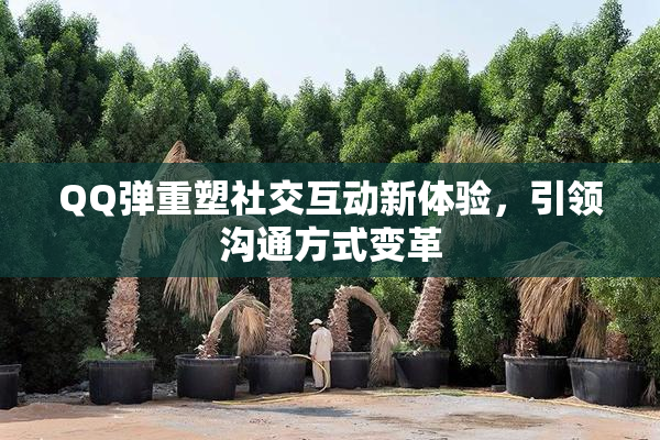 QQ弹重塑社交互动新体验，引领沟通方式变革