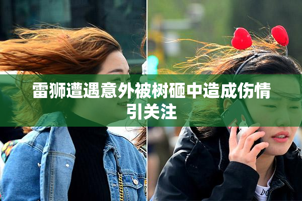 雷狮遭遇意外被树砸中造成伤情引关注