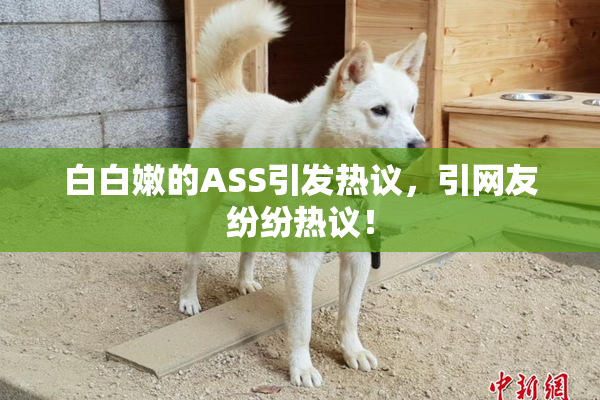 白白嫩的ASS引发热议，引网友纷纷热议！