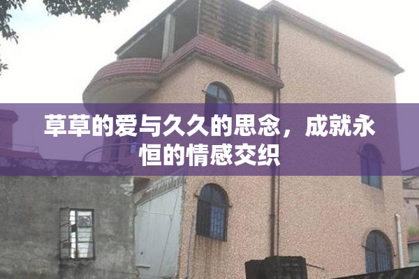 草草的爱与久久的思念，成就永恒的情感交织