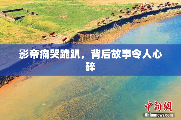 影帝痛哭跪趴，背后故事令人心碎