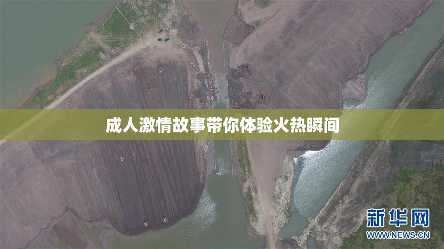 成人激情故事带你体验火热瞬间