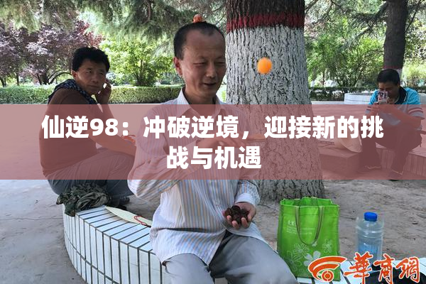 仙逆98：冲破逆境，迎接新的挑战与机遇