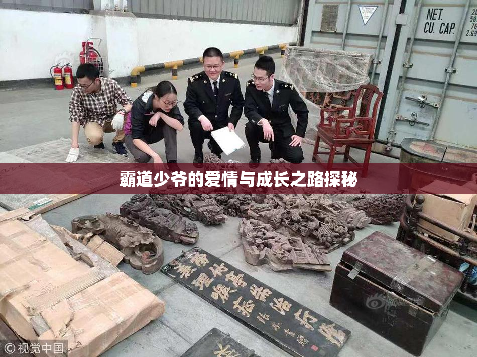 霸道少爷的爱情与成长之路探秘