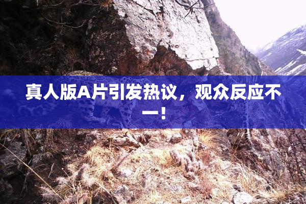 真人版A片引发热议，观众反应不一！