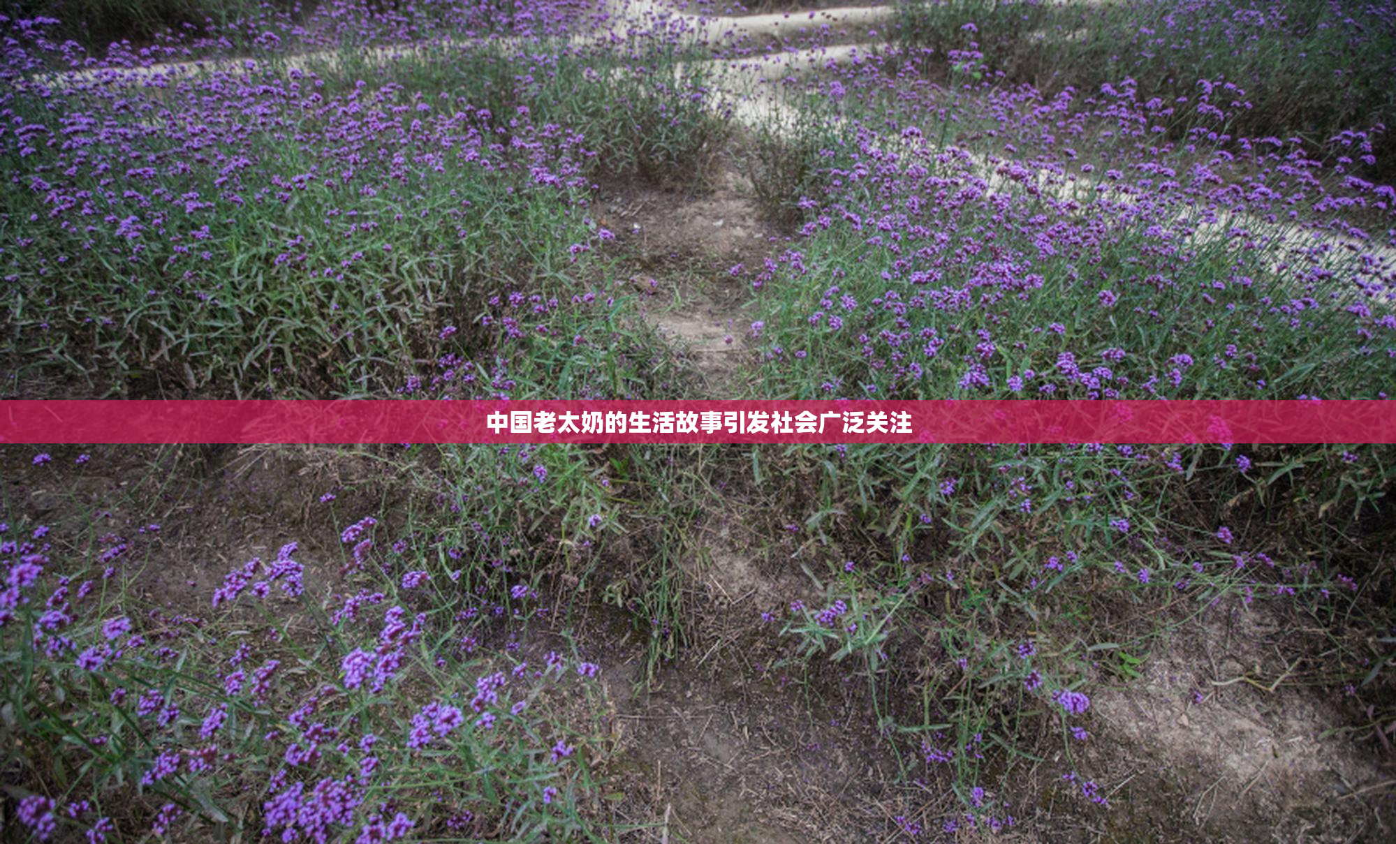 中国老太奶的生活故事引发社会广泛关注