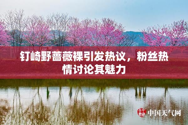 钉崎野蔷薇裸引发热议，粉丝热情讨论其魅力