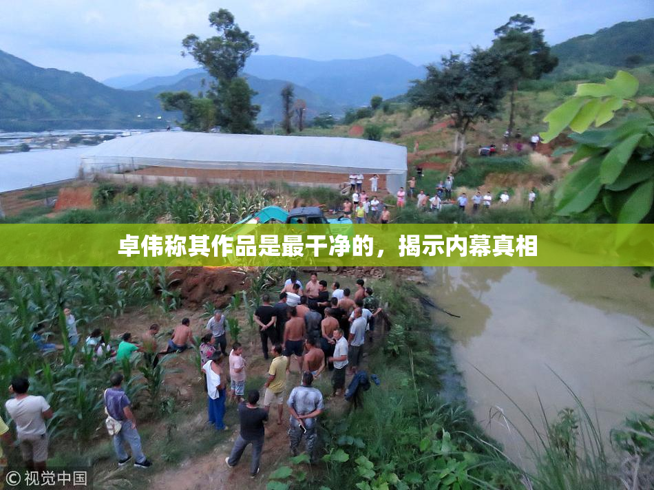 卓伟称其作品是最干净的，揭示内幕真相