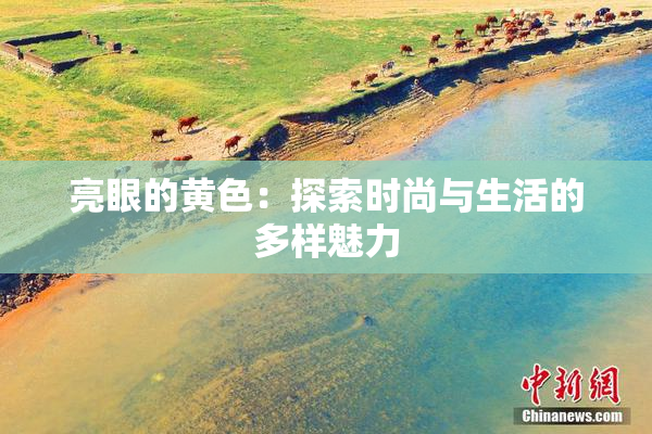 亮眼的黄色：探索时尚与生活的多样魅力