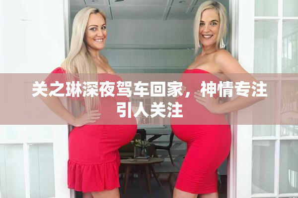 关之琳深夜驾车回家，神情专注引人关注