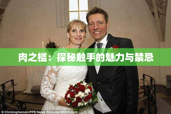 肉之槛：探秘触手的魅力与禁忌