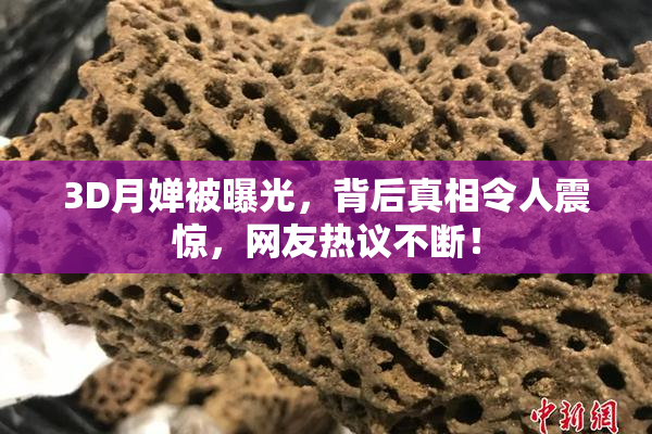 3D月婵被曝光，背后真相令人震惊，网友热议不断！