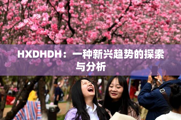 HXDHDH：一种新兴趋势的探索与分析