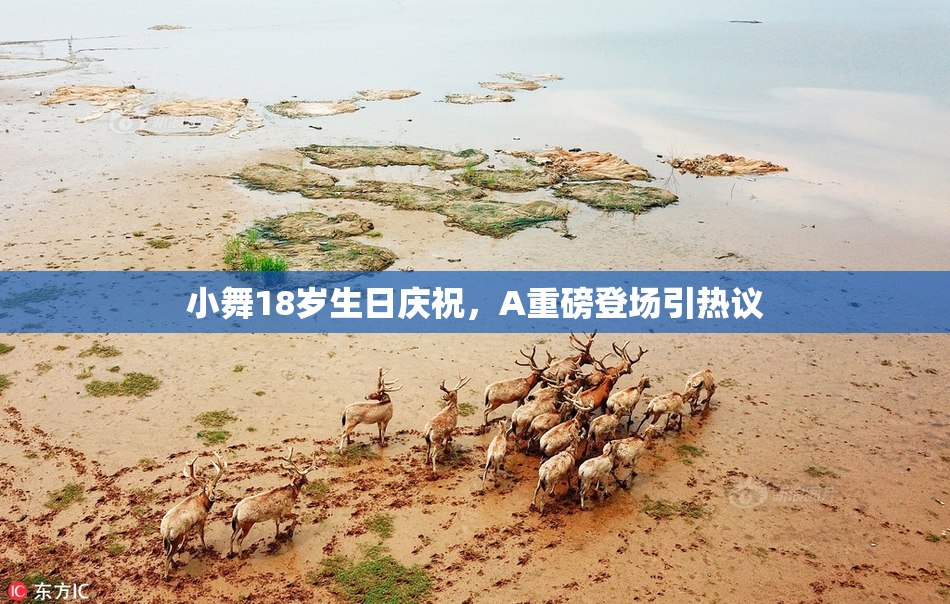 小舞18岁生日庆祝，A重磅登场引热议