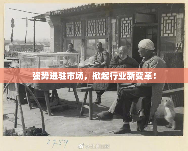 强势进驻市场，掀起行业新变革！