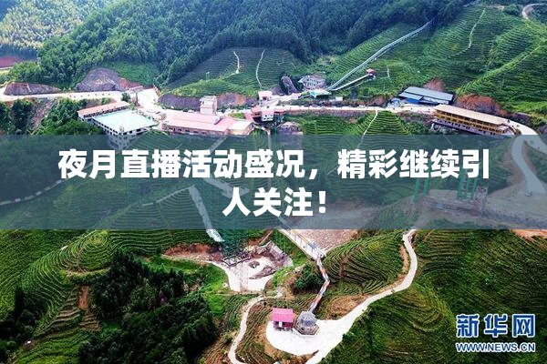 夜月直播活动盛况，精彩继续引人关注！