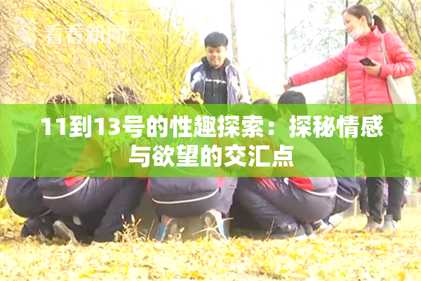11到13号的性趣探索：探秘情感与欲望的交汇点