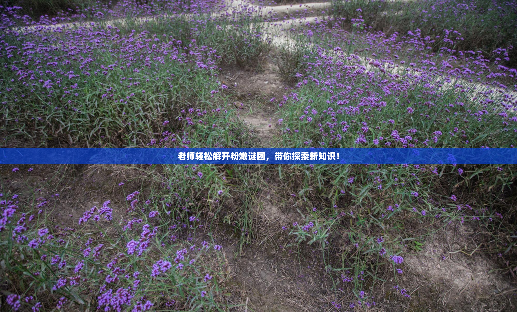 老师轻松解开粉嫩谜团，带你探索新知识！