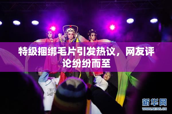 特级捆绑毛片引发热议，网友评论纷纷而至
