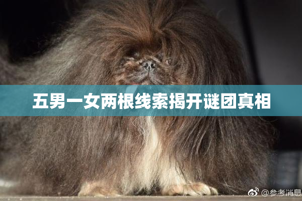 五男一女两根线索揭开谜团真相