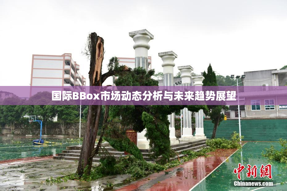 国际BBox市场动态分析与未来趋势展望