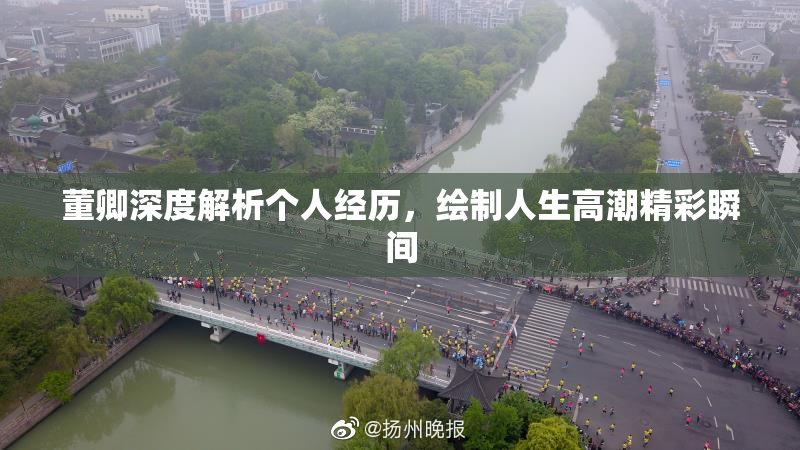 董卿深度解析个人经历，绘制人生高潮精彩瞬间