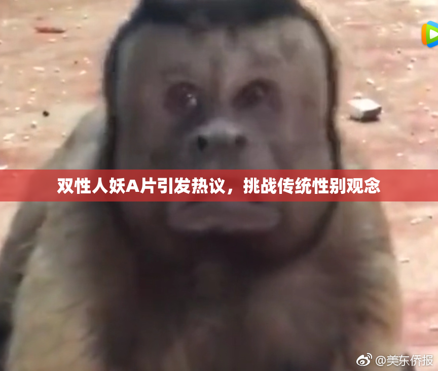 双性人妖A片引发热议，挑战传统性别观念