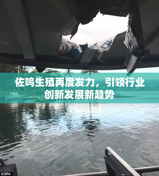佐鸣生殖再度发力，引领行业创新发展新趋势