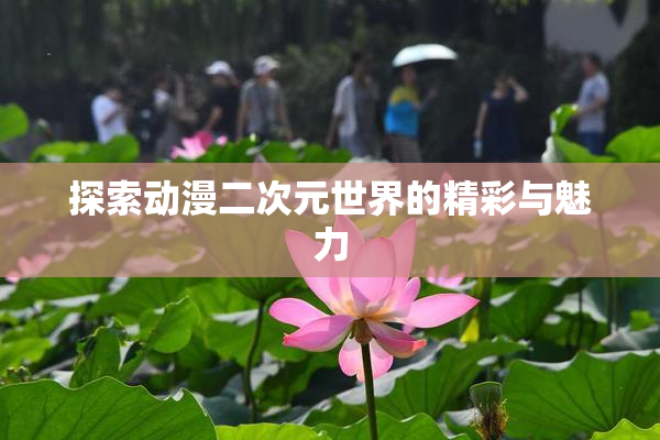 探索动漫二次元世界的精彩与魅力