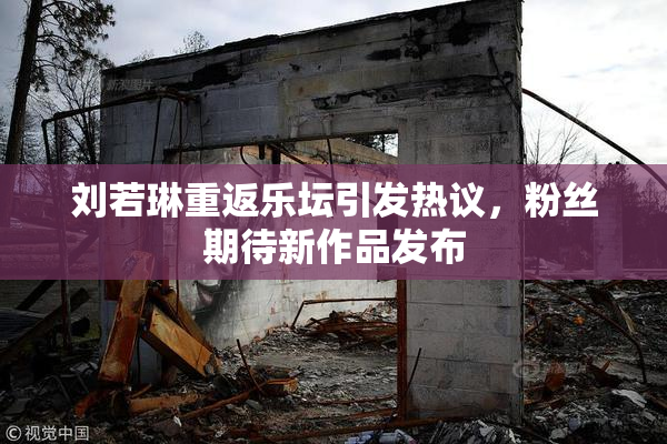 刘若琳重返乐坛引发热议，粉丝期待新作品发布