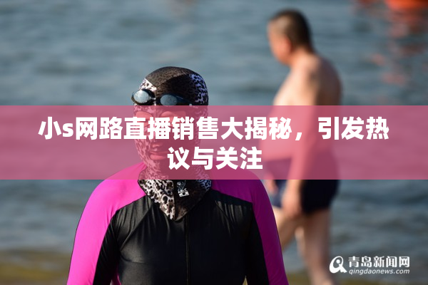 小s网路直播销售大揭秘，引发热议与关注