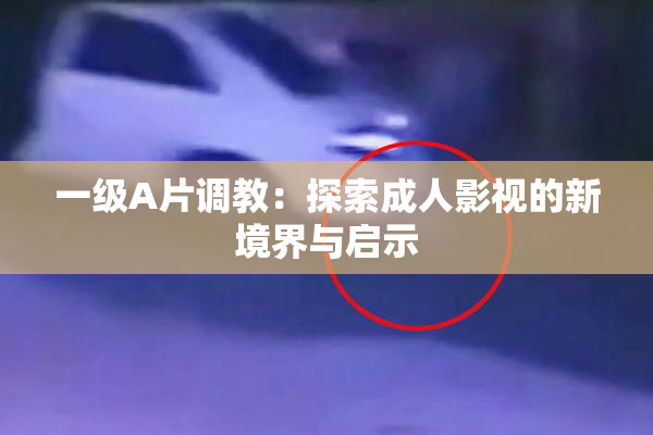 一级A片调教：探索成人影视的新境界与启示