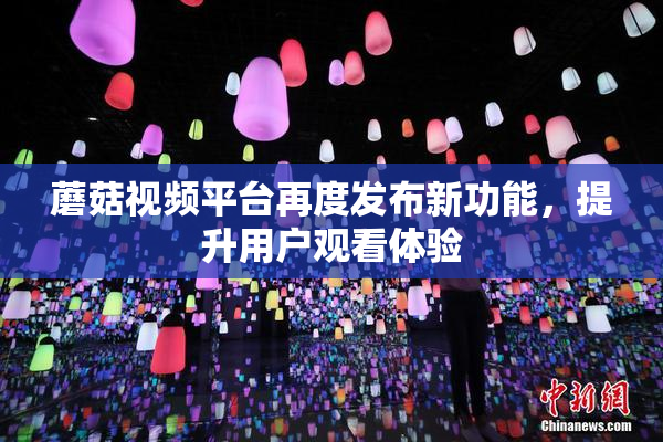 蘑菇视频平台再度发布新功能，提升用户观看体验
