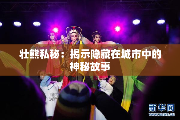 壮熊私秘：揭示隐藏在城市中的神秘故事